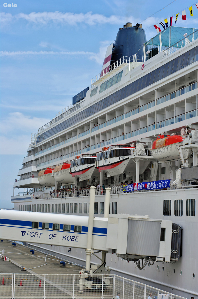 いつかは船旅