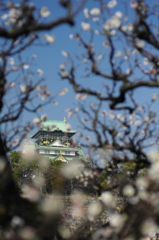 大阪城と梅 （白）