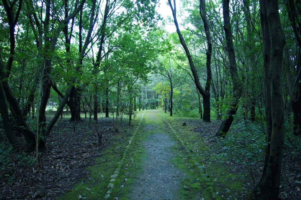 さらひやっとした空気♪