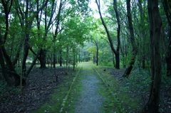 さらひやっとした空気♪