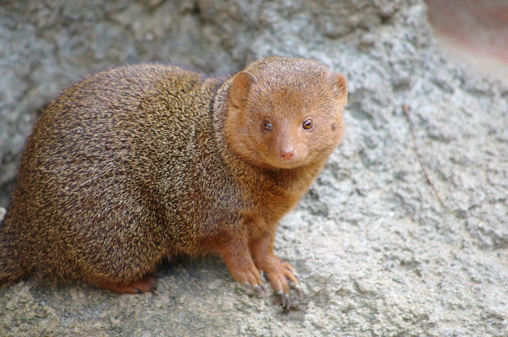 あ、あの、み、見ないでっ(/ω＼) 