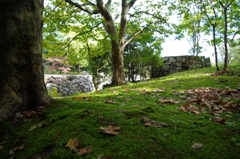 井戸っぽいけど違うの