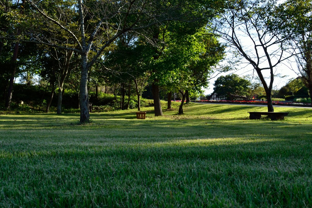 公園