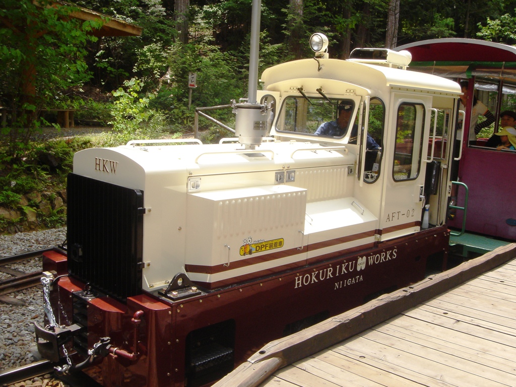 森林電車