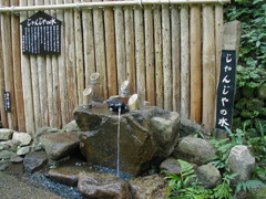 P1010031