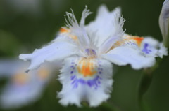 085