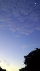 ぼんやり、あ、ぴかり