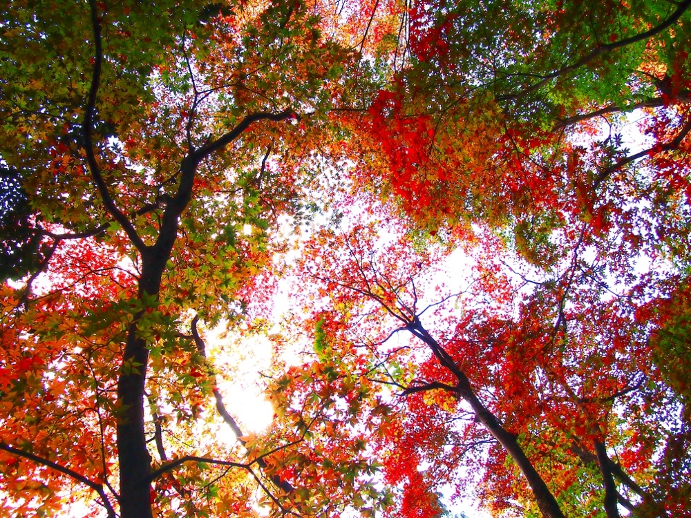 天元突破