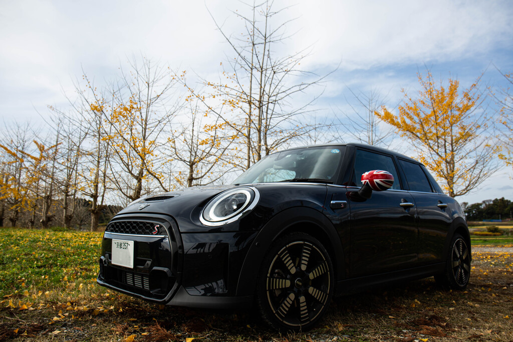 MINI meets Autumn Colors.