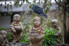 な、なんで･･･。