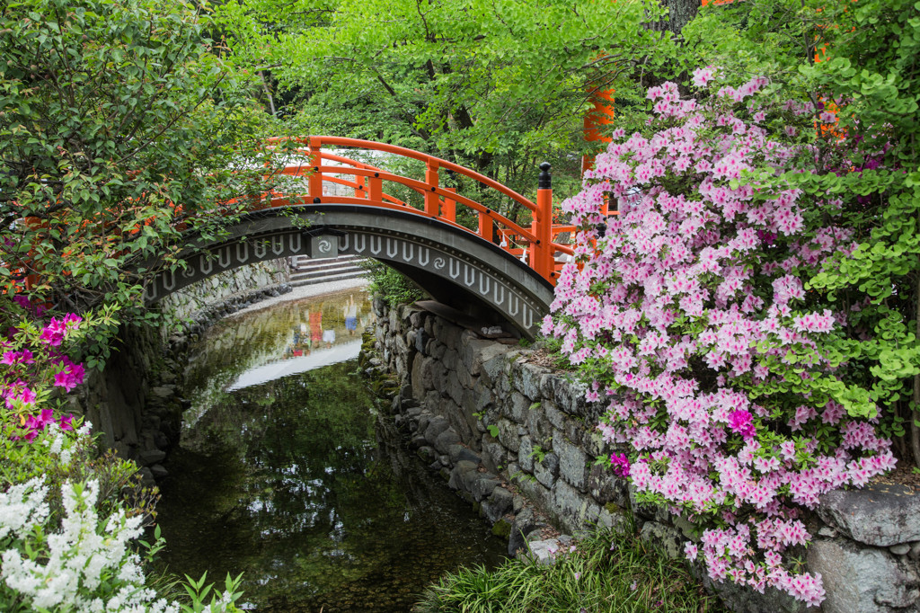 下鴨神社で。　Ⅰ