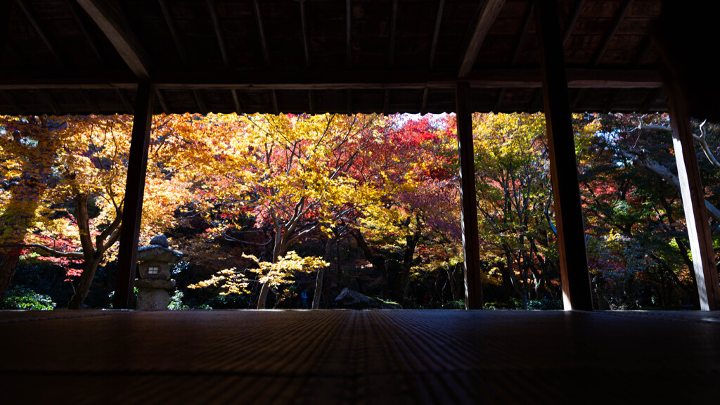 圓光寺 晩秋の十牛之庭 Ⅱ