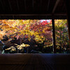 圓光寺 晩秋の十牛之庭 Ⅱ