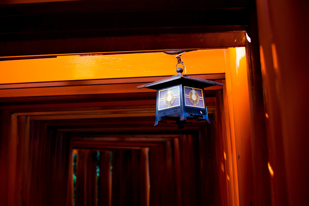 鳥居のトンネルで　Ⅲ