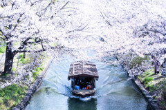 伏見 春の十石舟　Ⅱ