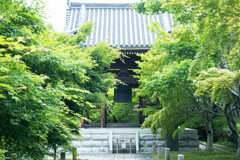 初夏の智積院にて　Ⅰ