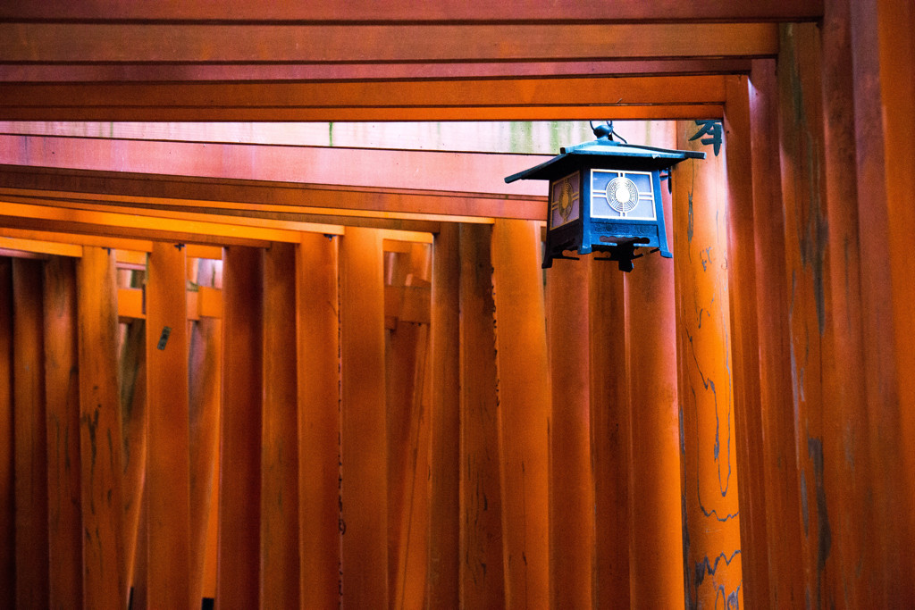 千本鳥居を切り撮る。