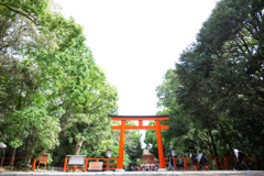 下鴨神社にて。　Ⅰ