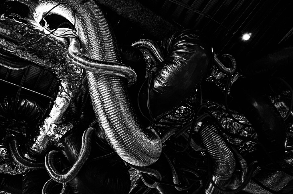 セイレーンの棲む処。