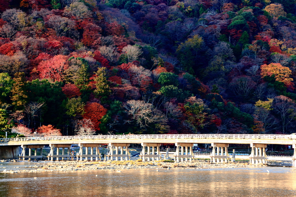 暮れゆく嵐山　Colors -Ranzan