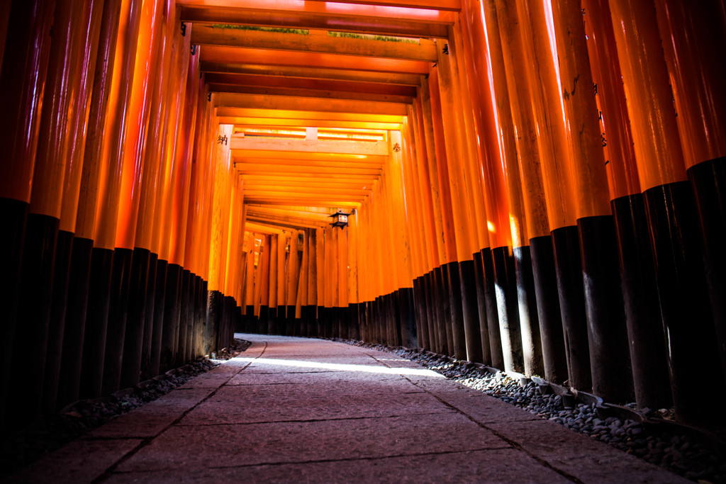 朝の千本鳥居にて。　Ⅰ