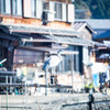 舟屋を見守る。
