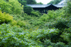 臥雲橋から通天橋を臨む　Ⅰ