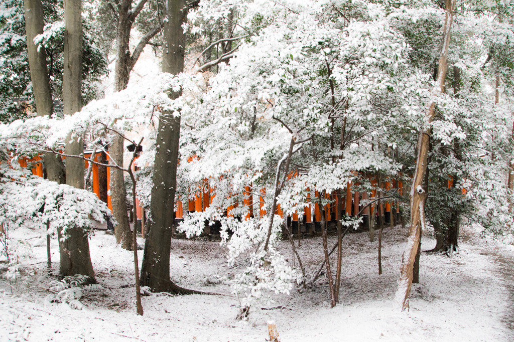鳥居の雪景色