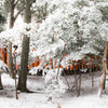 鳥居の雪景色