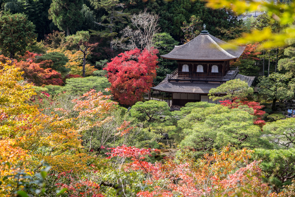銀閣寺・2014秋　Ⅳ