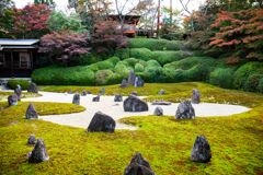晩秋の光明院にて　Ⅲ