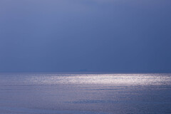 海