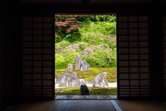 東福寺光明院で。　 Ⅰ