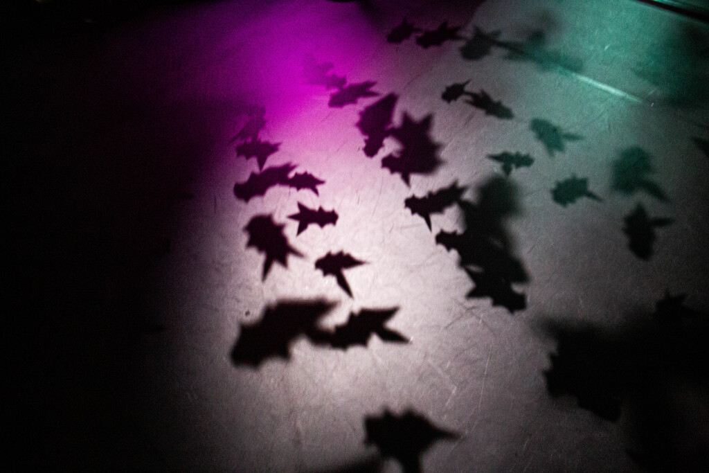 Shadow