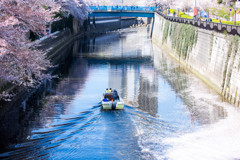 目黒川で。　Ⅰ