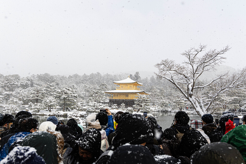 雪の金閣寺の現場から