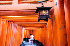 朝の千本鳥居で　Ⅶ