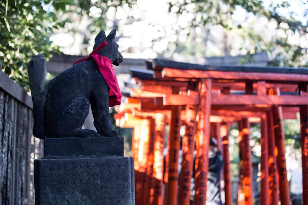 鳥居を見守る。　Ⅱ