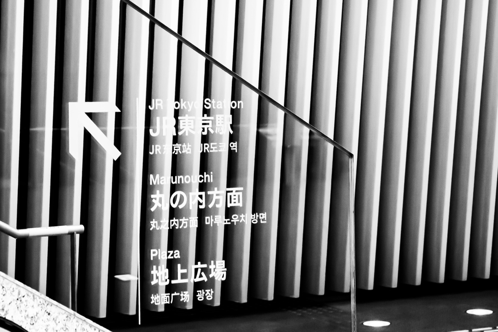 東京国際フォーラムにて　Ⅰ