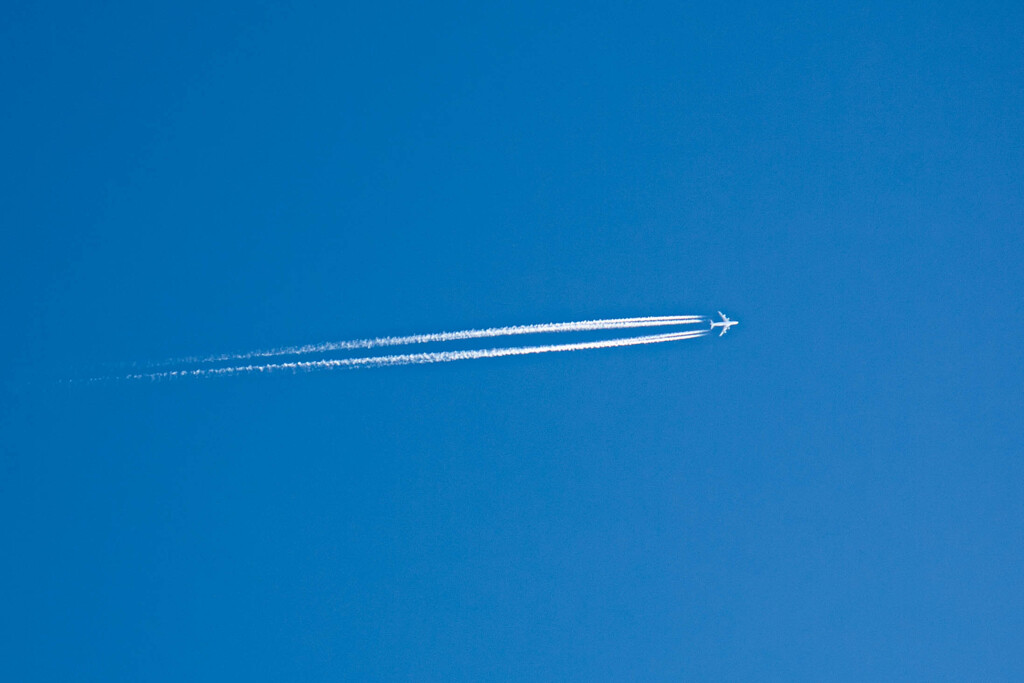 飛行機