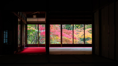 天授庵書院の窓景・秋