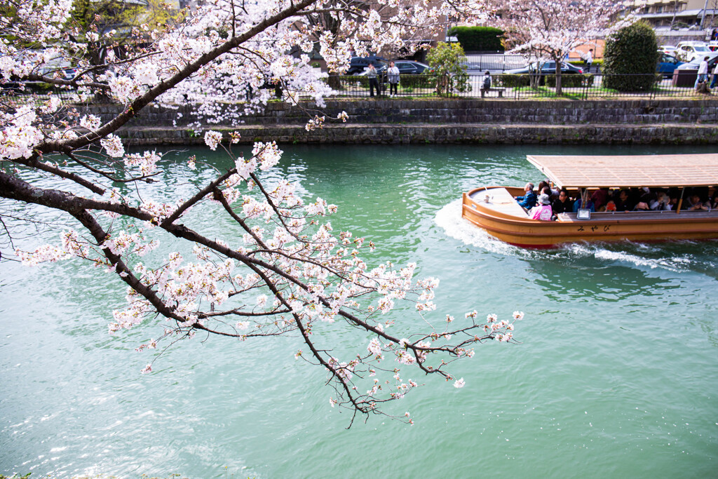 京都岡崎の春　Ⅰ