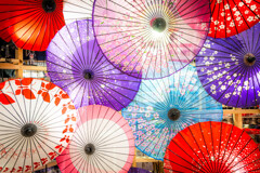 傘の華が咲く。