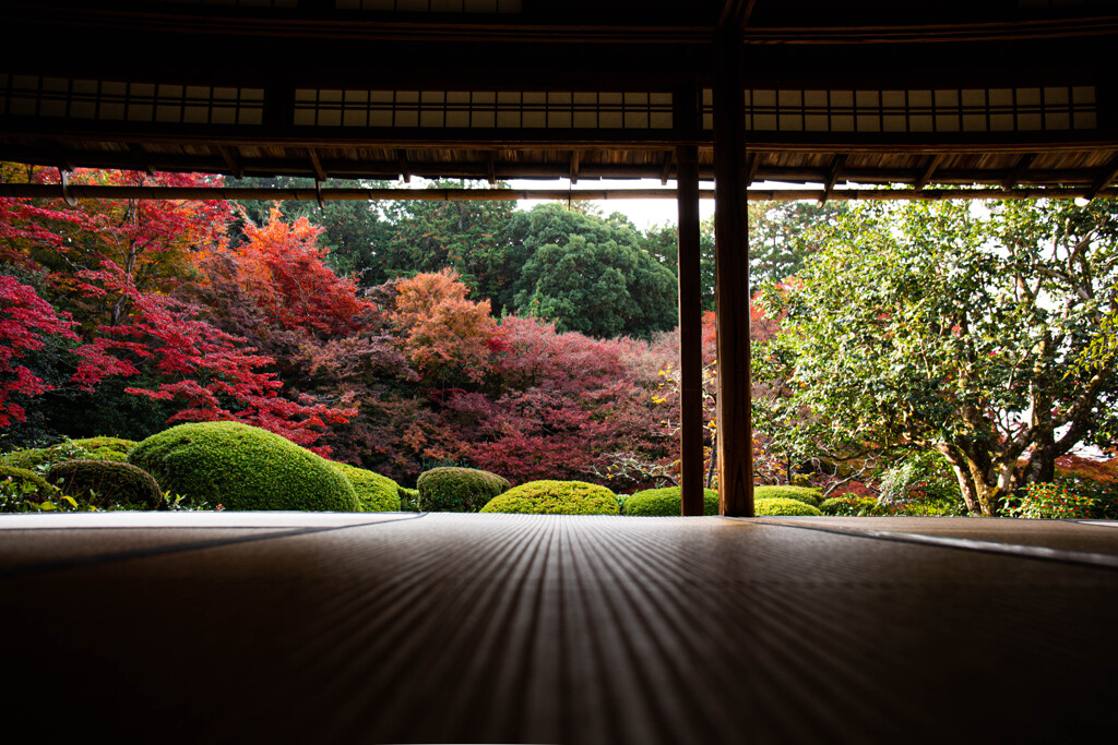 詩仙堂で紅葉を愛でる　Ⅰ