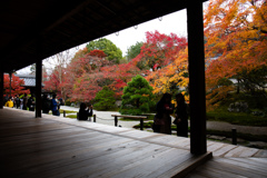 天授庵の枯山水・秋　Ⅲ