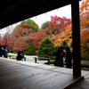 天授庵の枯山水・秋　Ⅲ