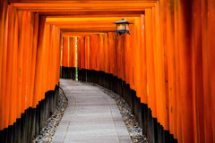 Welcome to Senbontorii !　Ⅲ