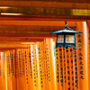千本鳥居を撮る。④