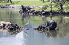 浜離宮恩賜庭園で。　Ⅲ