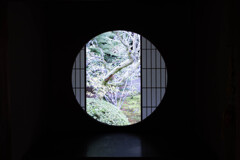 雲龍院 悟りの窓